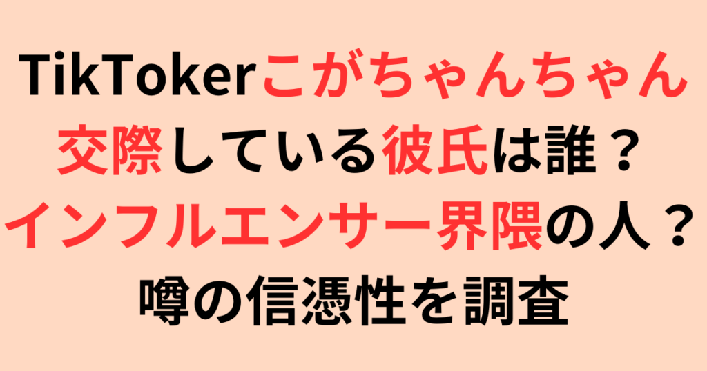 TikTokerこがちゃんちゃんの彼氏はインフルエンサー界隈の人？噂を調査