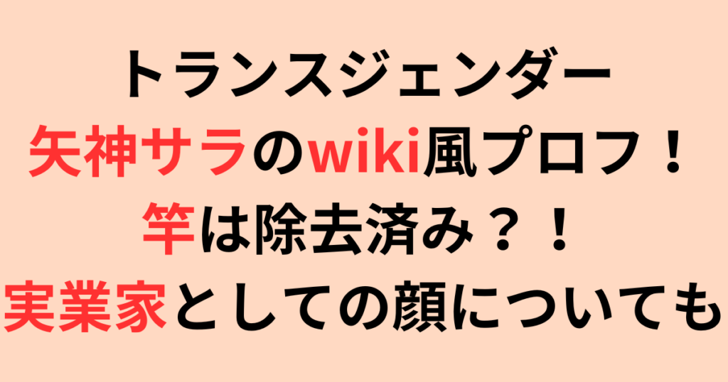 トランスジェンダー・矢神サラのwiki風プロフ！竿や実業家としての顔についても